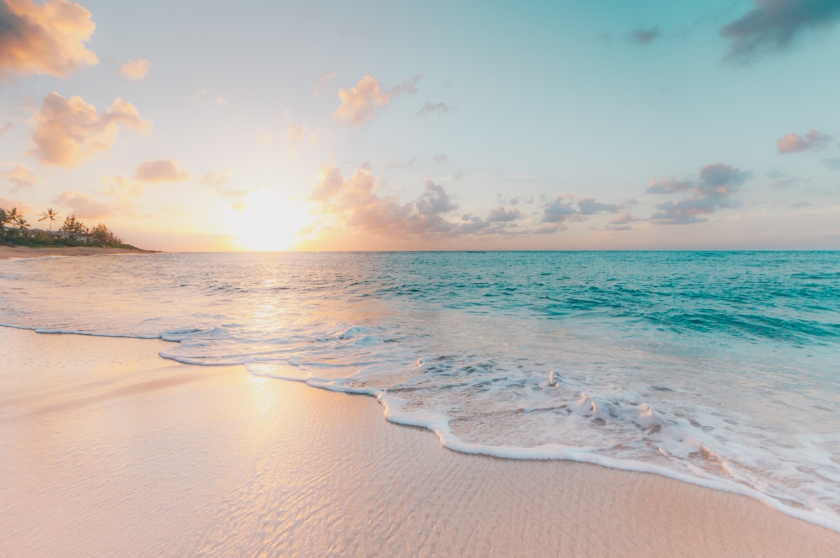 How to optimise a PPC mobile landing page for conversions - Travel digital marketing guide